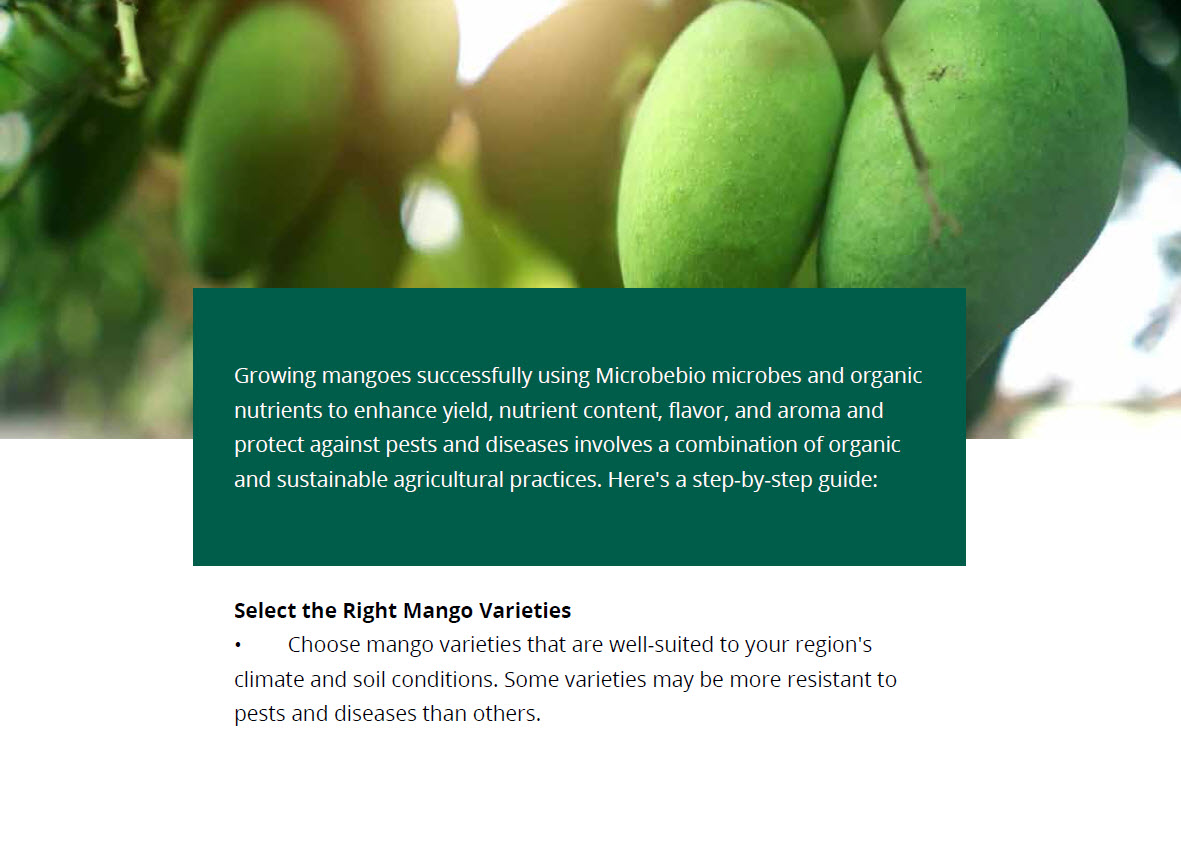 Microbebio Nature Phenom Mango 1 Microbebio Nature Phenom Mango 1