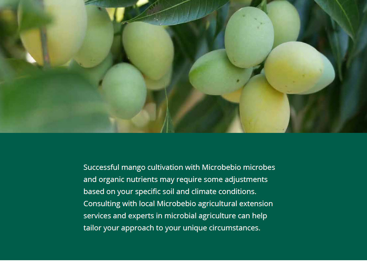 Microbebio Nature Phenom Mango 4
