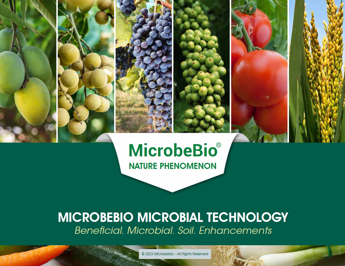 Microbebio Nature Phenom Mango 5