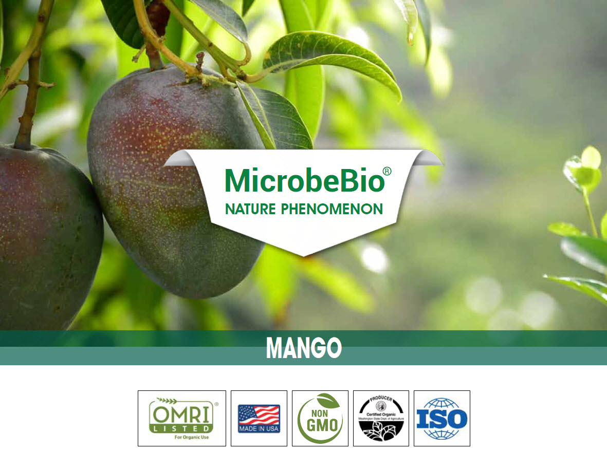 Microbebio Nature Phenom Mango Microbebio Nature Phenom Mango