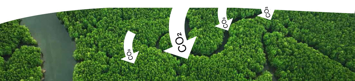 Transform Your Farming with Microbebio 1 Transform Your Farming with Microbebio 1