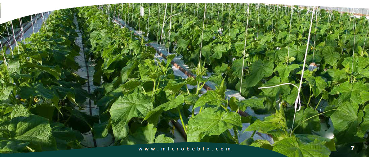 Transform Your Farming with Microbebio 5