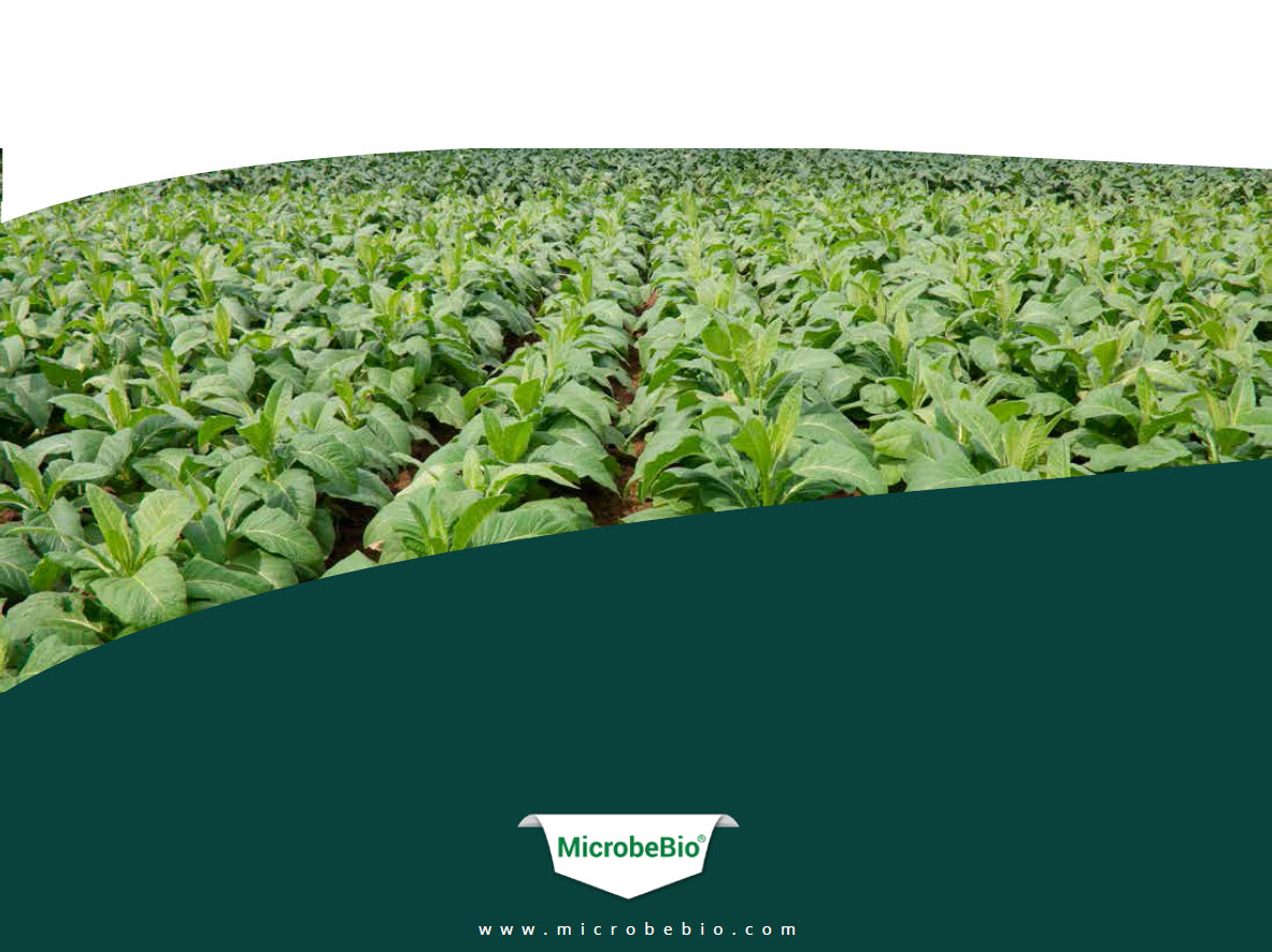 Transform Your Farming with Microbebio 7