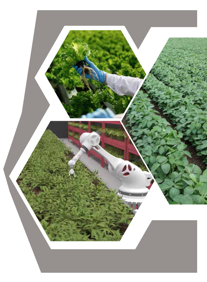MICROBEBIO - SHAPING THE FUTURE of SUSTAINABLE AGRICULTURE 16 MICROBEBIO - SHAPING THE FUTURE of SUSTAINABLE AGRICULTURE 16