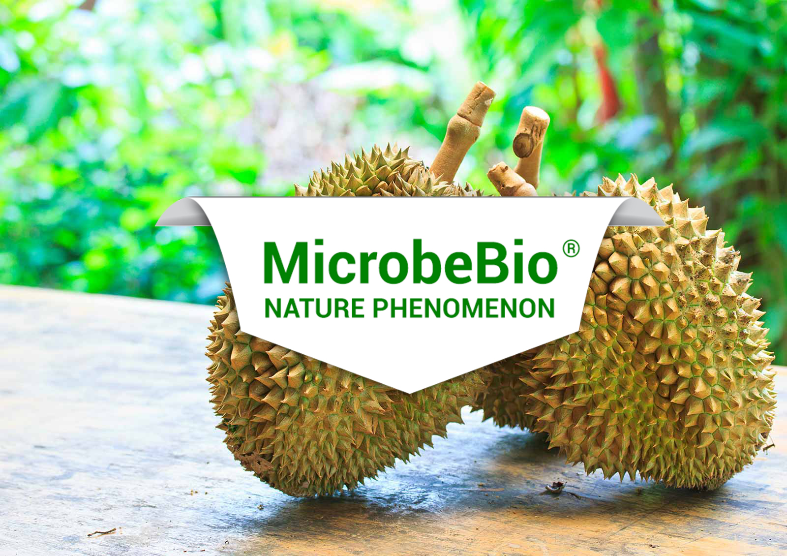 BioFerti-Slider-Banners1