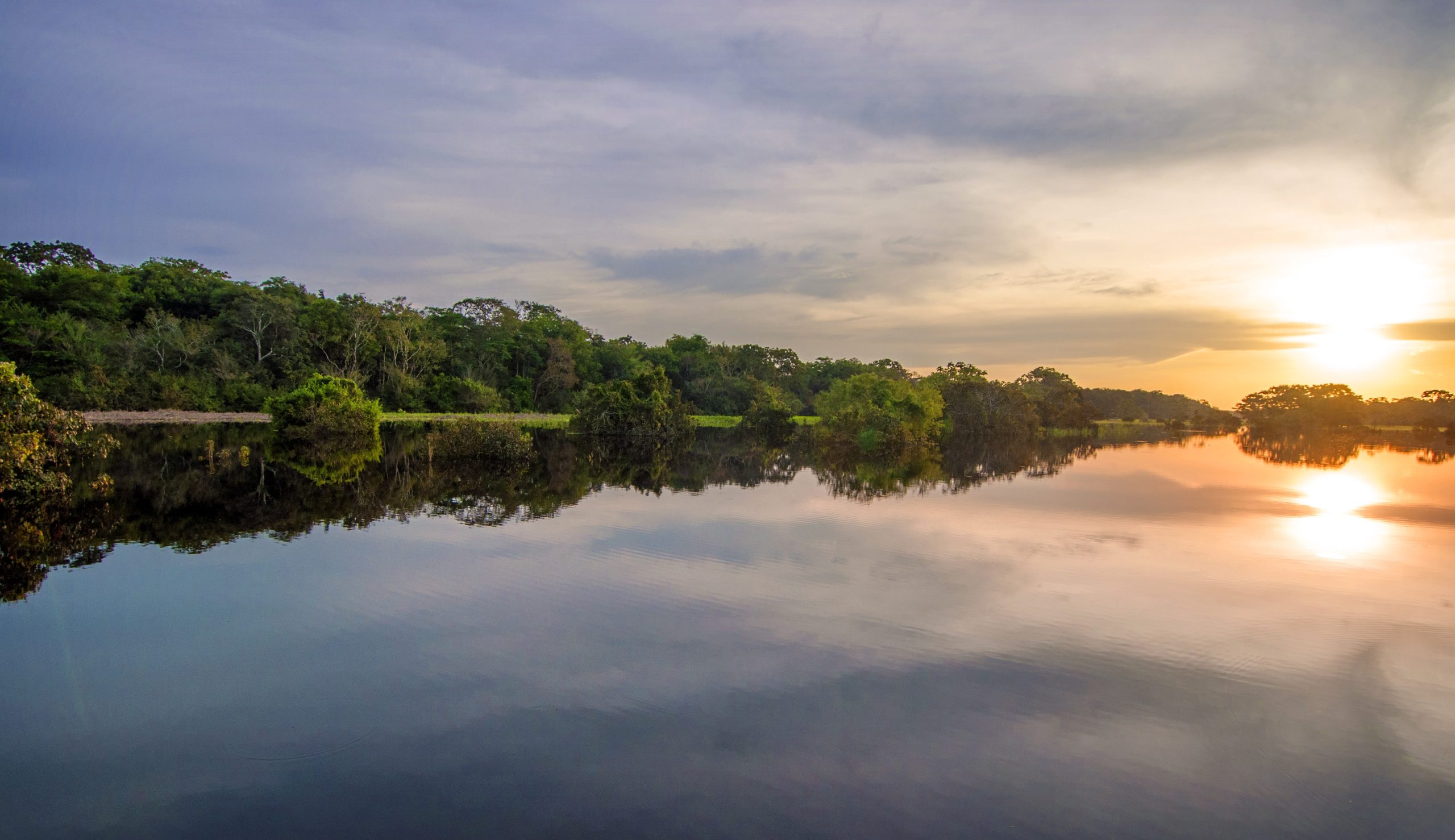 canstockphoto23425976