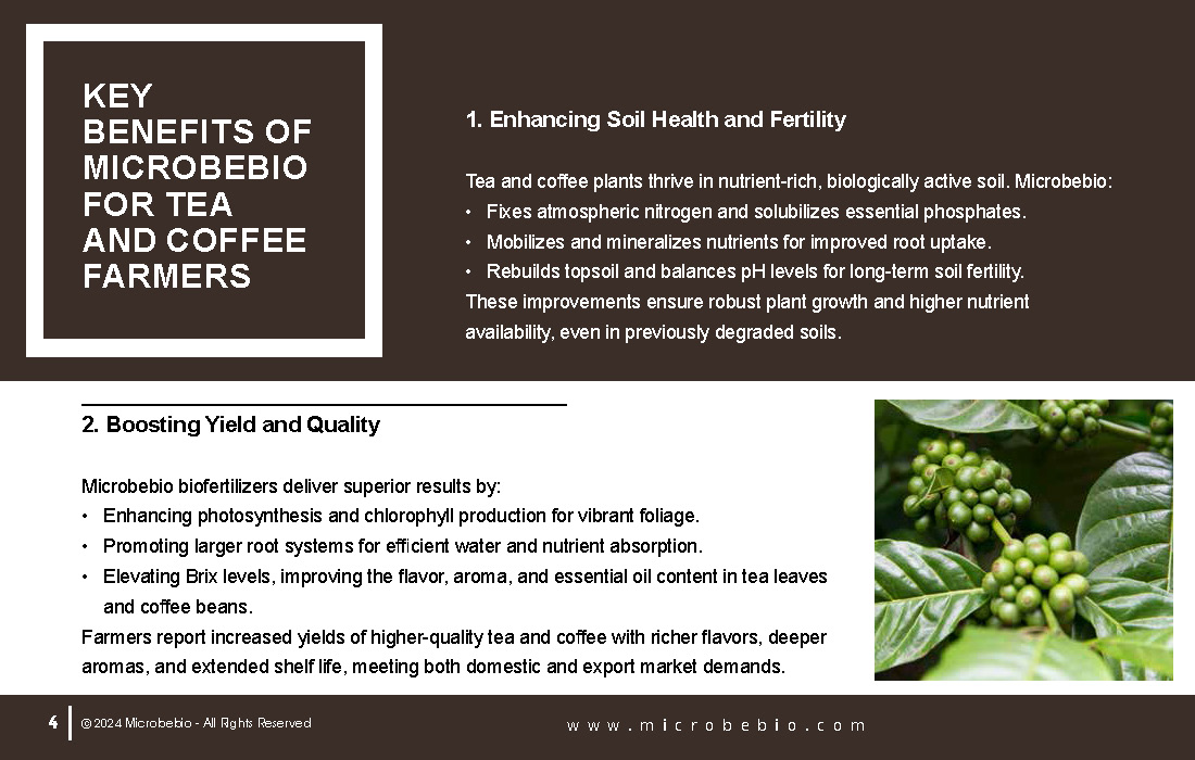 Revolutionizing Tea and Coffee Farming in Vietnam and Southeast Asia with Microbebio_Page_4