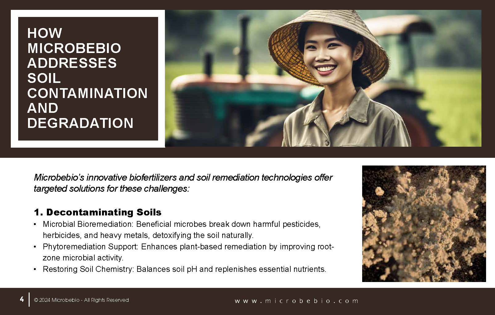 A Revolutionary Solution for Soil Contamination-Sustainable Forestry-and CO2 Credit Markets_Page_04