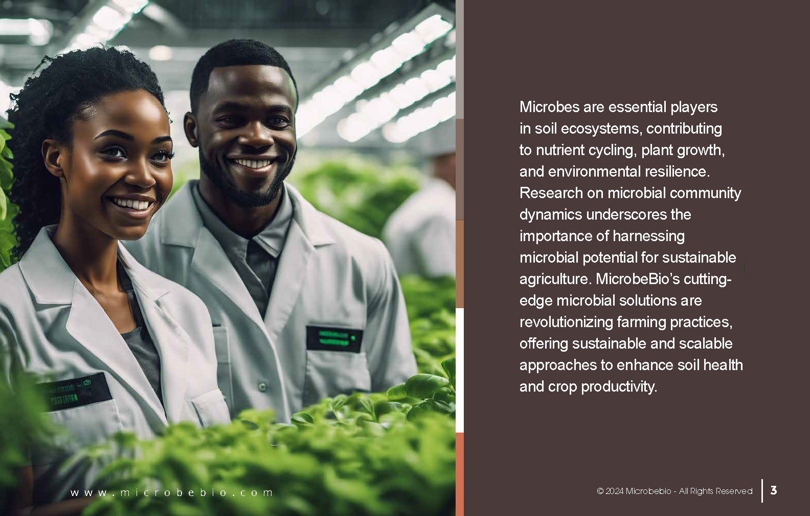 Advancing Soil Health and Agriculture with Microbial Innovations_Page_03