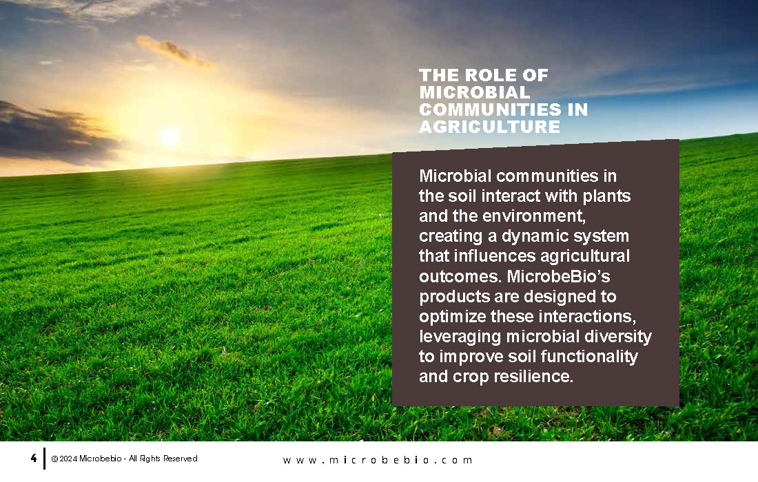 Advancing Soil Health and Agriculture with Microbial Innovations_Page_04