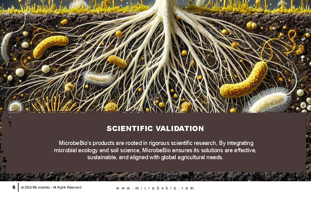 Advancing Soil Health and Agriculture with Microbial Innovations_Page_06