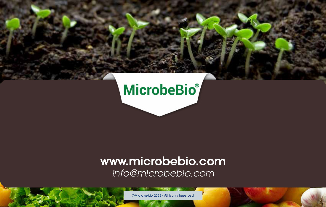 Advancing Soil Health and Agriculture with Microbial Innovations_Page_11