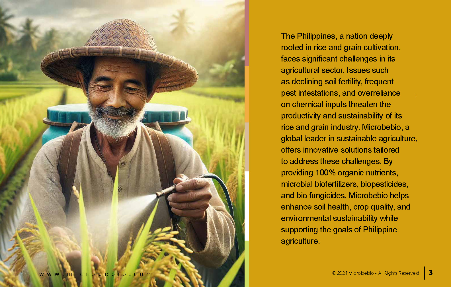 Advancing the Philippine Grain and Rice Industry with 100 Organic Solutions_Page_03