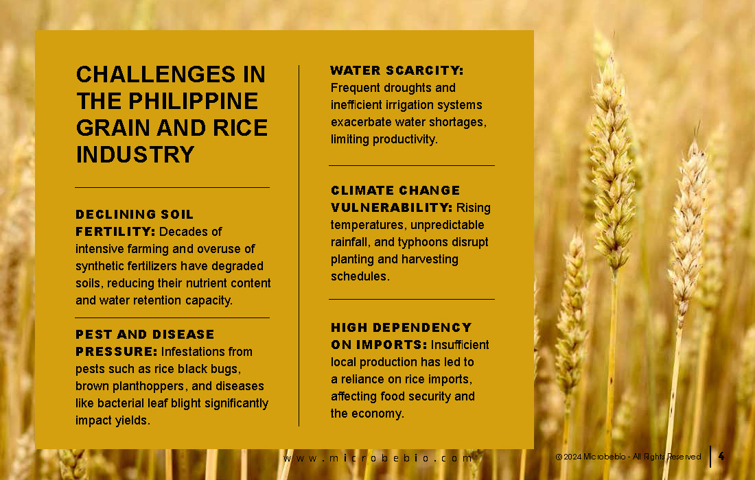 Advancing the Philippine Grain and Rice Industry with 100 Organic Solutions_Page_04