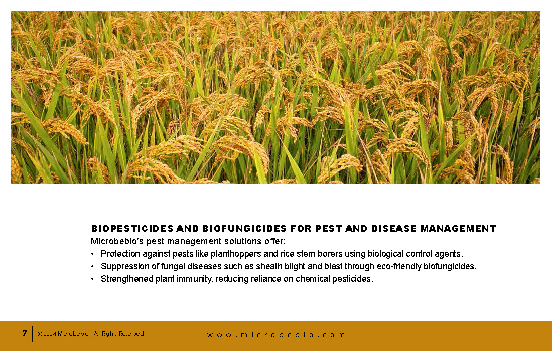 Advancing the Philippine Grain and Rice Industry with 100 Organic Solutions_Page_07