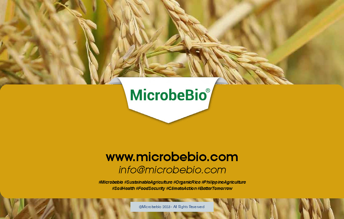 Advancing the Philippine Grain and Rice Industry with 100 Organic Solutions_Page_12