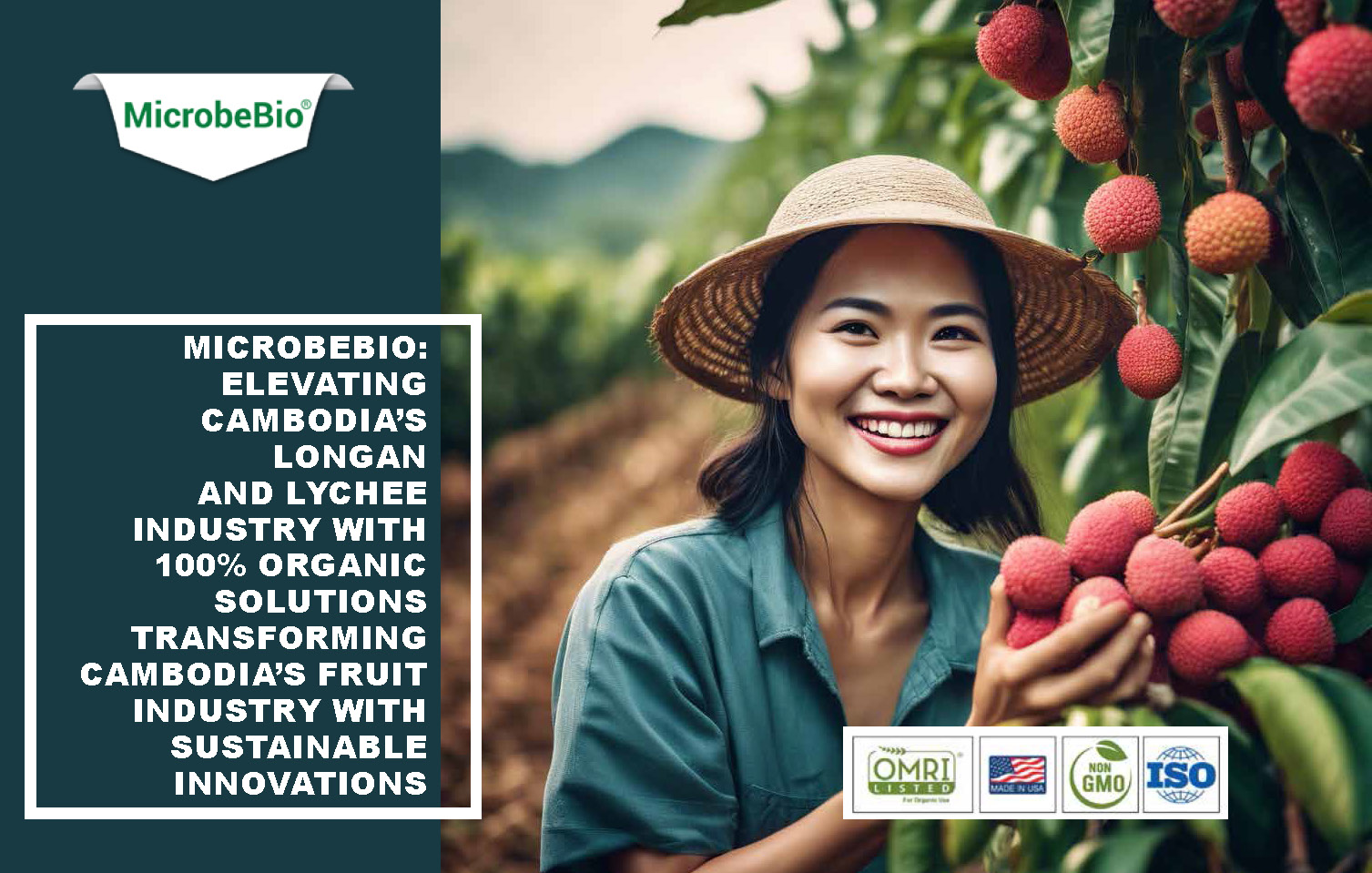 Elevating Cambodia Longan and Lychee Industry with 100 Organic_Page_01