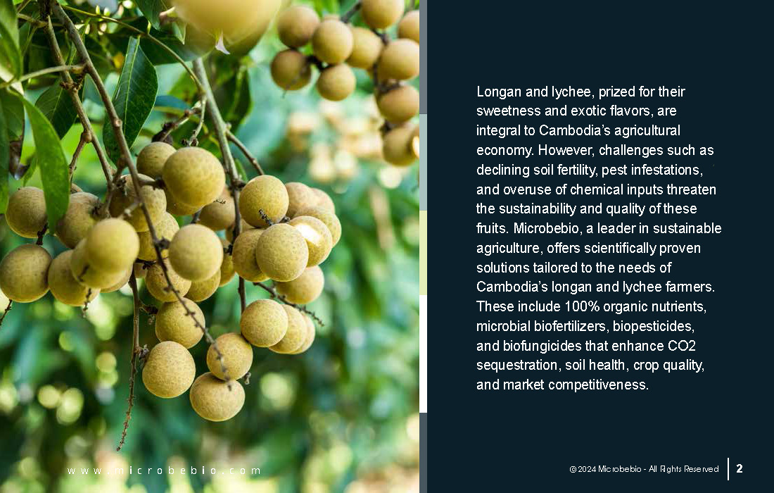 Elevating Cambodia Longan and Lychee Industry with 100 Organic_Page_02