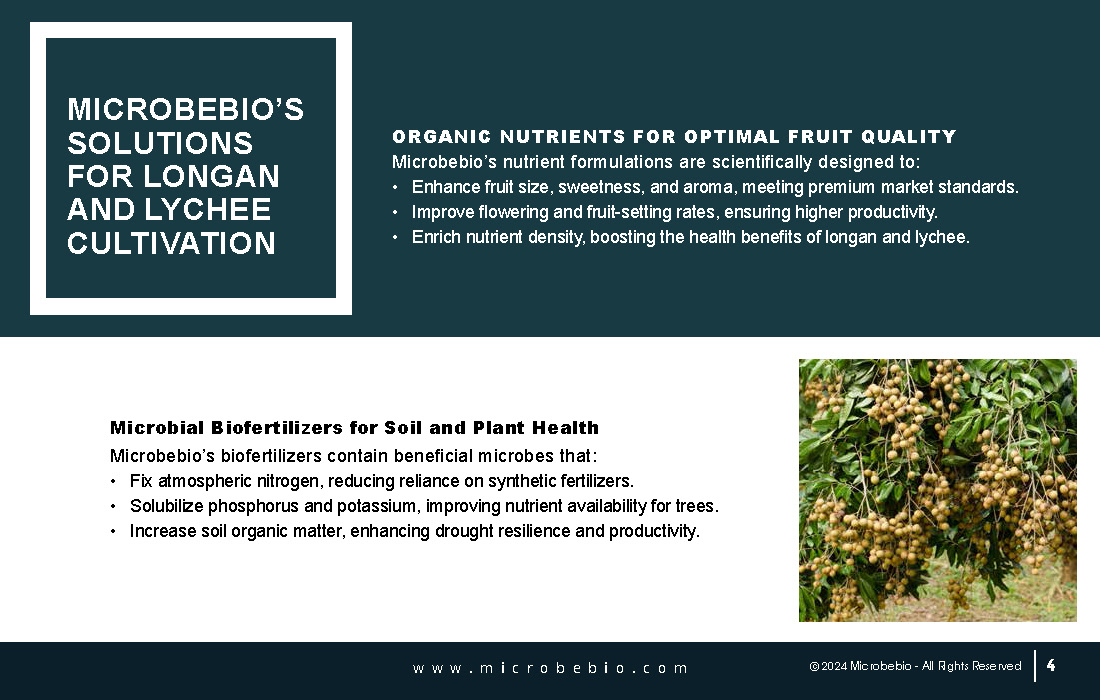 Elevating Cambodia Longan and Lychee Industry with 100 Organic_Page_04