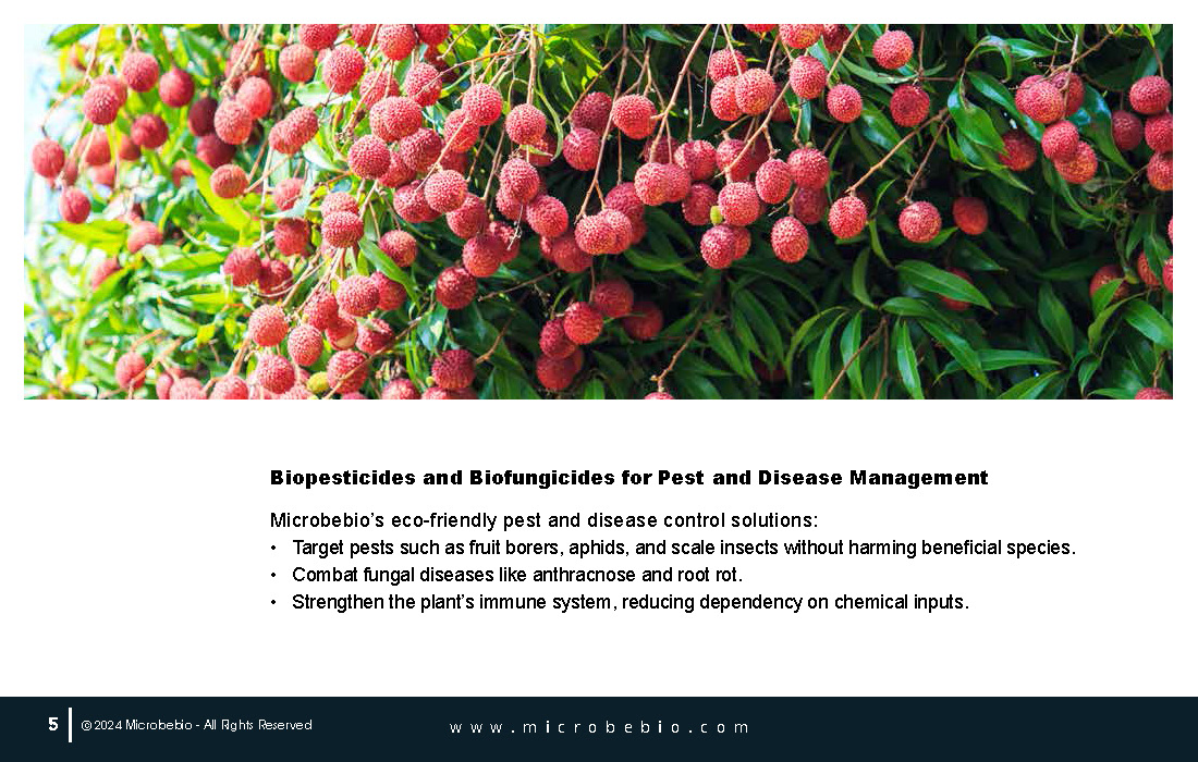 Elevating Cambodia Longan and Lychee Industry with 100 Organic_Page_05