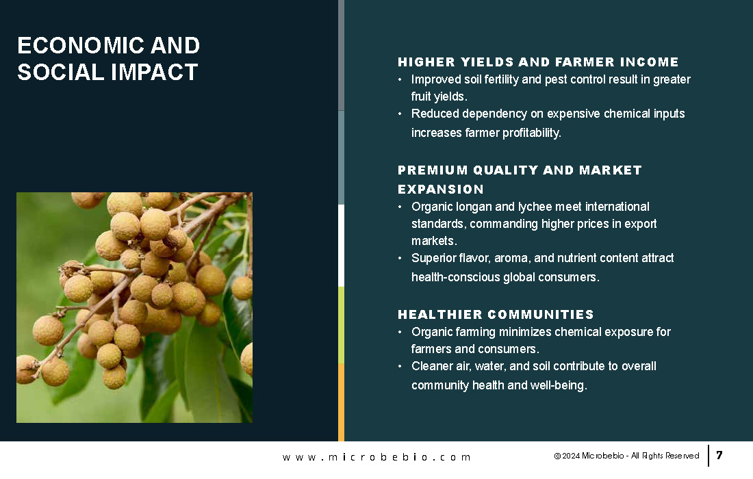 Elevating Cambodia Longan and Lychee Industry with 100 Organic_Page_07
