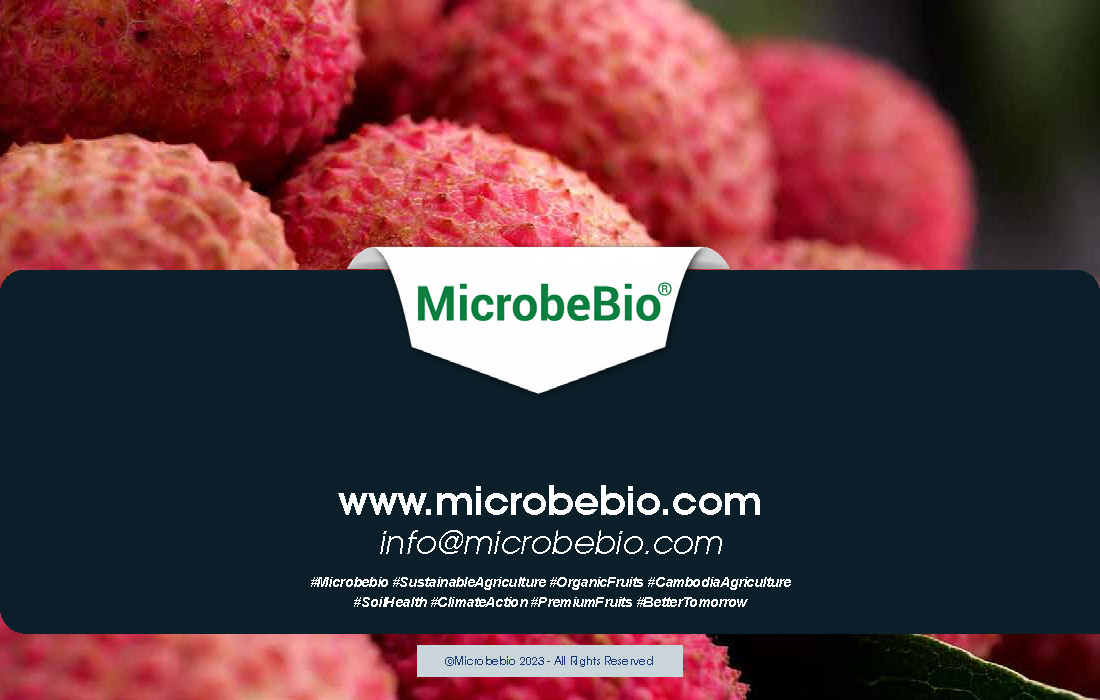 Elevating Cambodia Longan and Lychee Industry with 100 Organic_Page_10