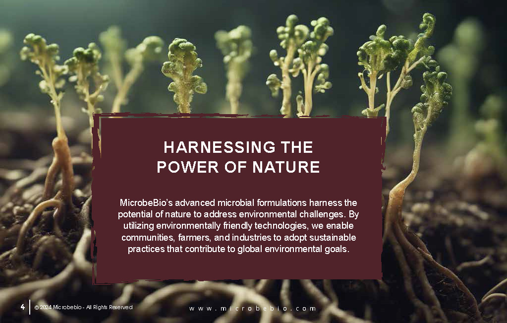 Empowering the Environment with Innovative Solutions_Page_04