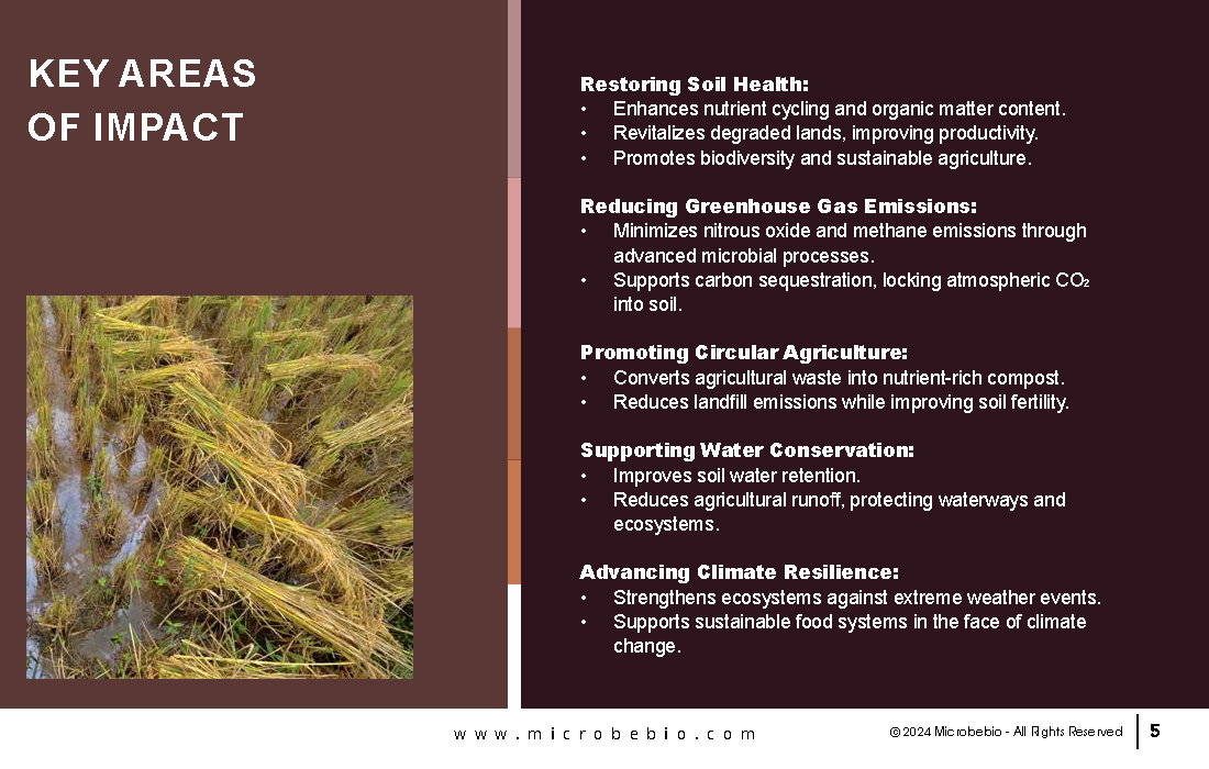 Empowering the Environment with Innovative Solutions_Page_05