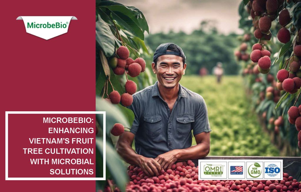Enhancing Vietnam Fruit Tree Cultivation with Microbial Solutions
