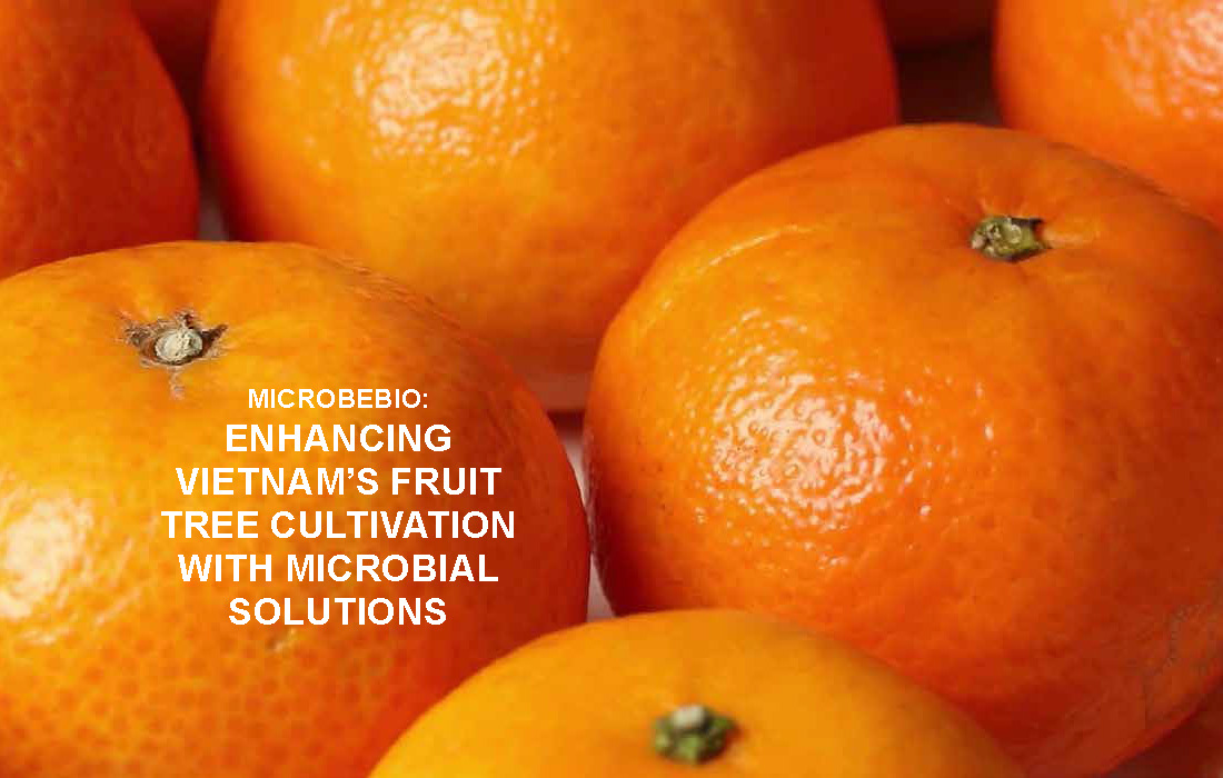Enhancing Vietnam Fruit Tree Cultivation with Microbial Solutions_Page_02