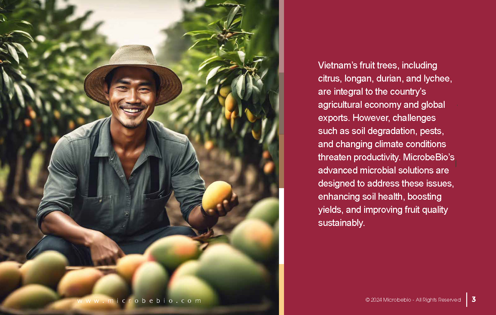 Enhancing Vietnam Fruit Tree Cultivation with Microbial Solutions_Page_03