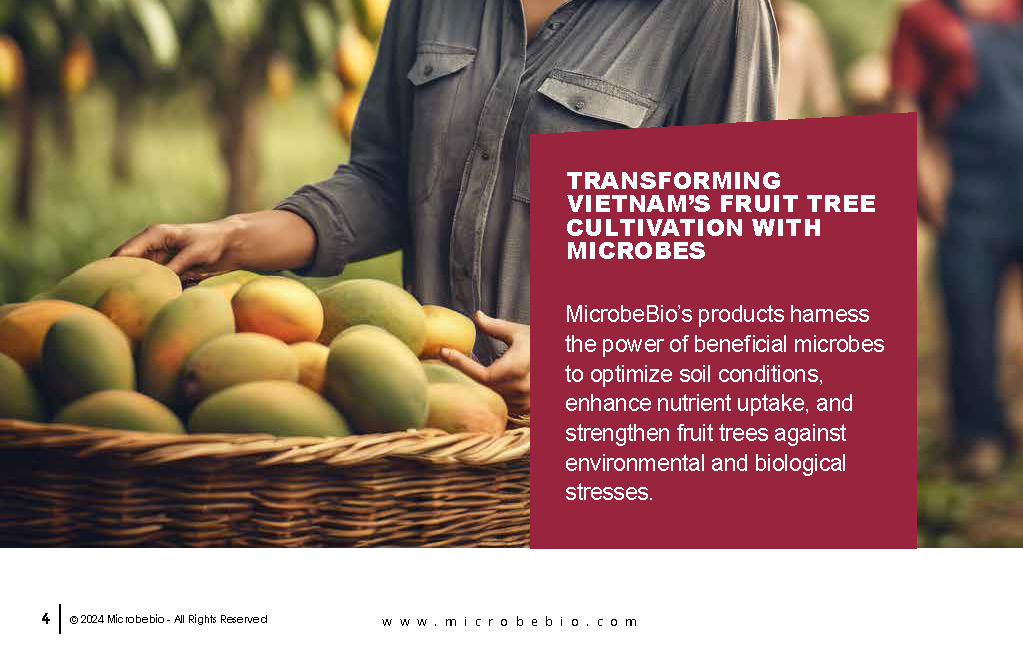 Enhancing Vietnam Fruit Tree Cultivation with Microbial Solutions_Page_04