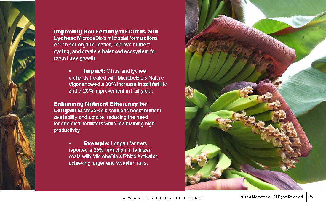 Enhancing Vietnam Fruit Tree Cultivation with Microbial Solutions_Page_05