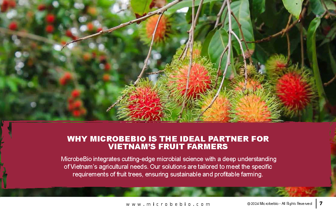 Enhancing Vietnam Fruit Tree Cultivation with Microbial Solutions_Page_07