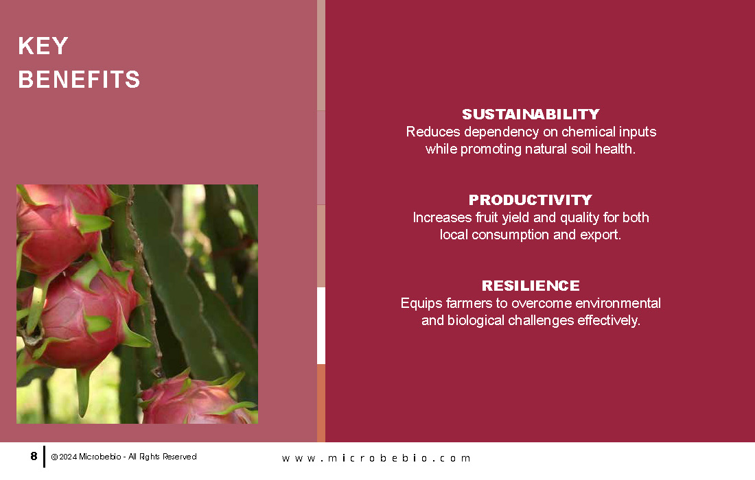 Enhancing Vietnam Fruit Tree Cultivation with Microbial Solutions_Page_08