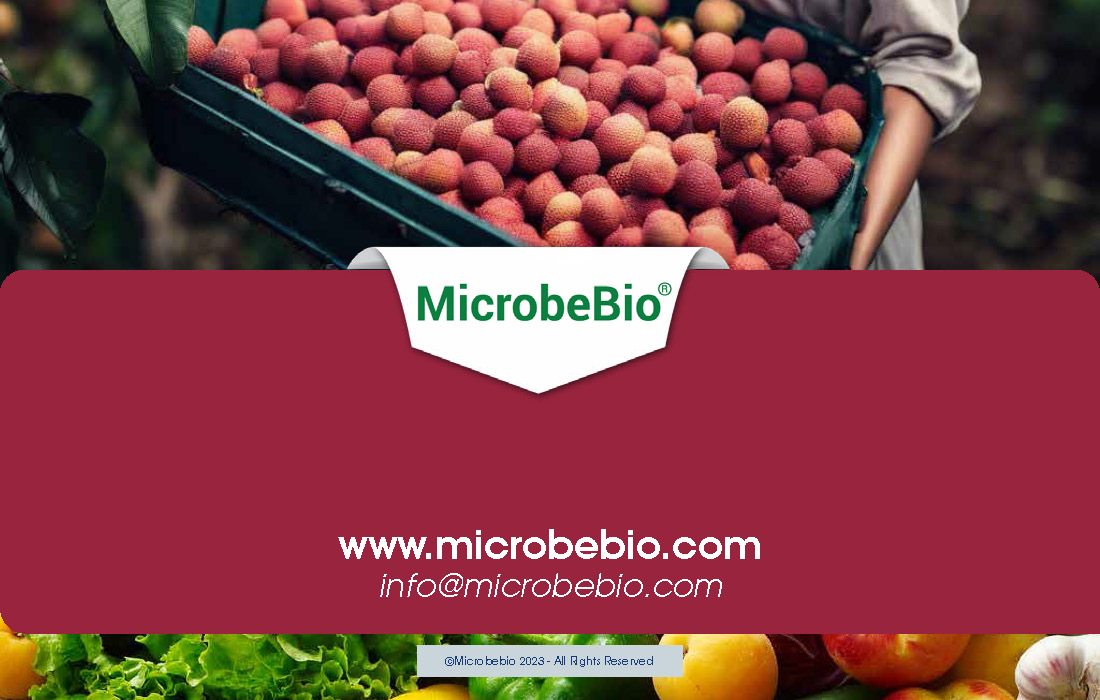 Enhancing Vietnam Fruit Tree Cultivation with Microbial Solutions_Page_12