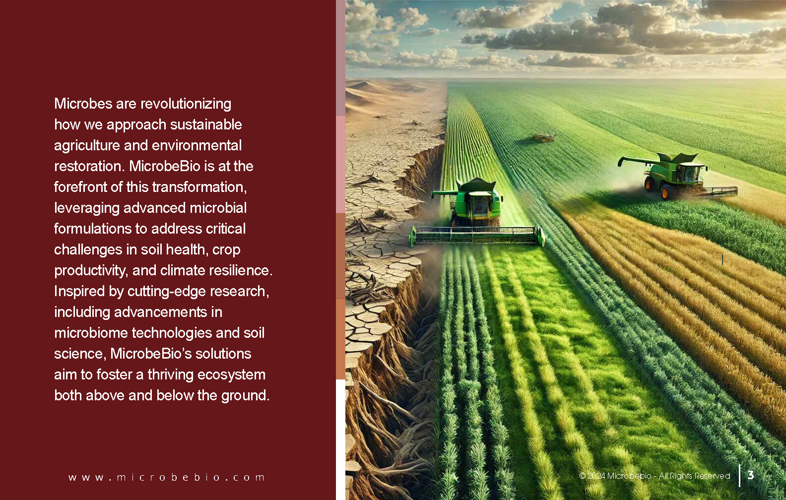 Harnessing Microbial Potential for Sustainable Soil Health_Page_03