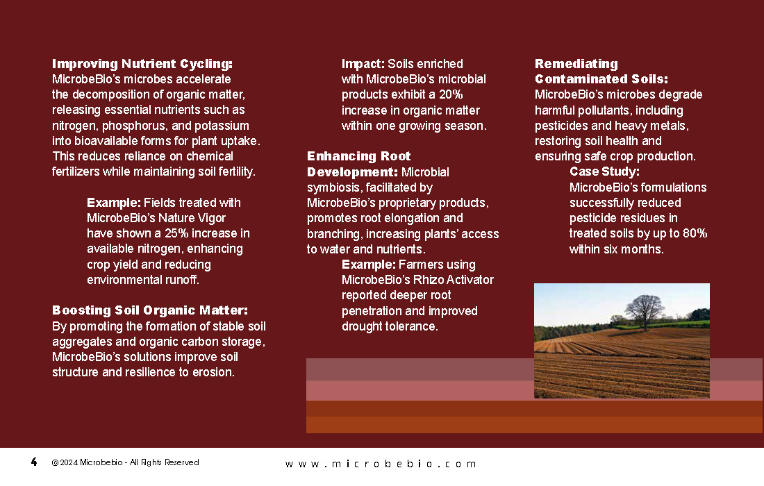 Harnessing Microbial Potential for Sustainable Soil Health_Page_04