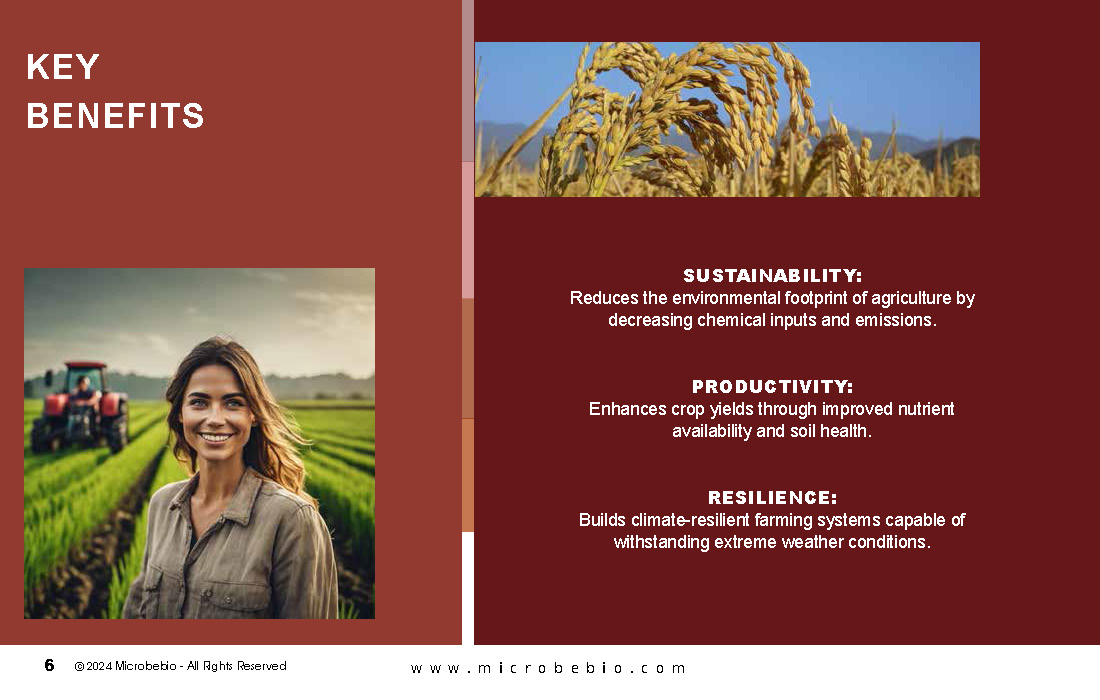 Harnessing Microbial Potential for Sustainable Soil Health_Page_06
