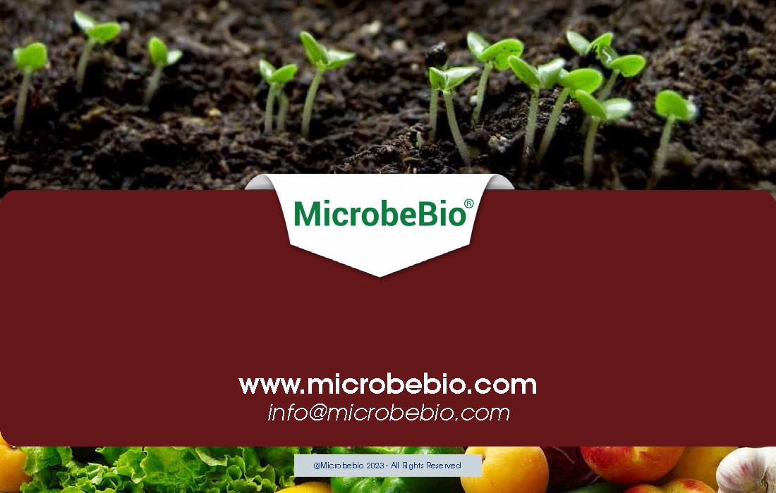 Harnessing Microbial Potential for Sustainable Soil Health_Page_10