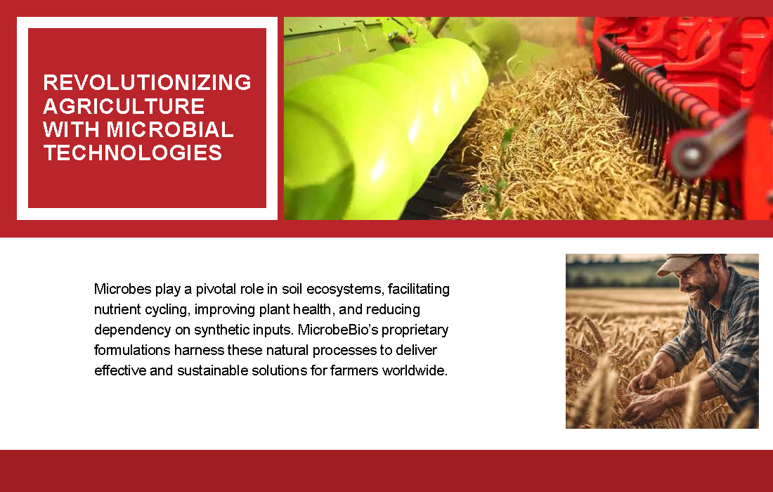 Leading the Transition from Synthetic Fertilizers to Microbial Solution_Page_04
