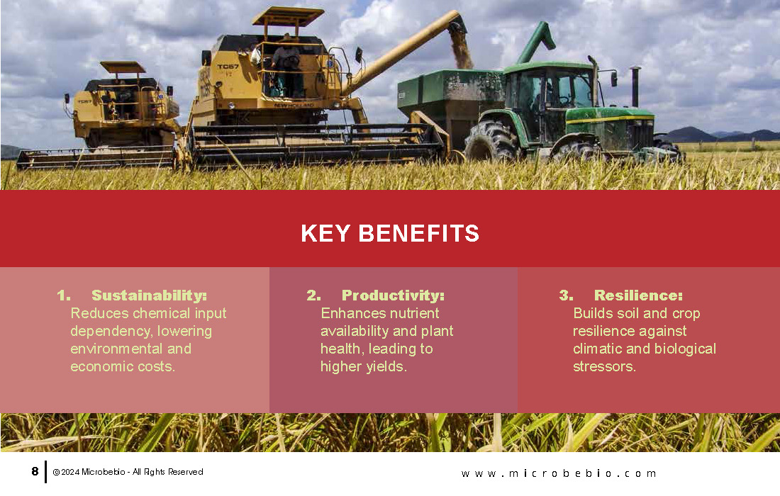 Leading the Transition from Synthetic Fertilizers to Microbial Solution_Page_08