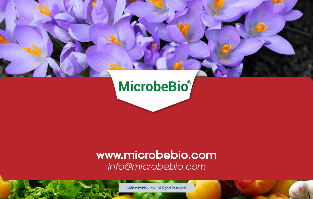Leading the Transition from Synthetic Fertilizers to Microbial Solution_Page_12