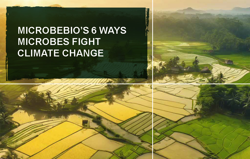 MicrobeBio 6 Ways Microbes Fight Climate Change_Page_02
