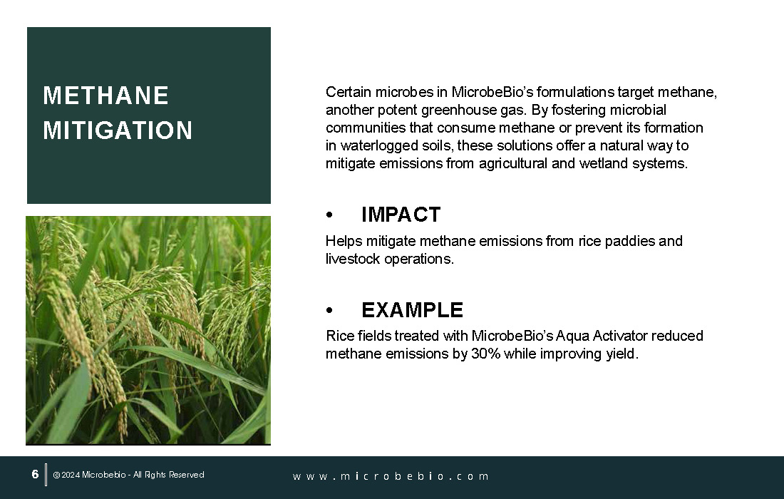 MicrobeBio 6 Ways Microbes Fight Climate Change_Page_06