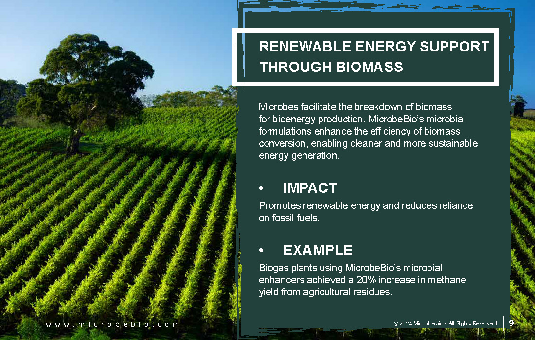 MicrobeBio 6 Ways Microbes Fight Climate Change_Page_09