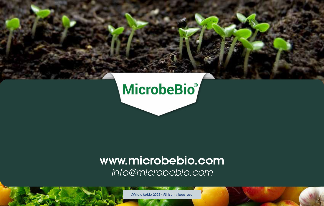MicrobeBio 6 Ways Microbes Fight Climate Change_Page_11