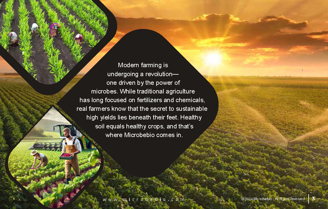 Microbes Will Feed the World How Microbebio Helps Farmers Grow Healthy Soil for Better Crops_Page_3