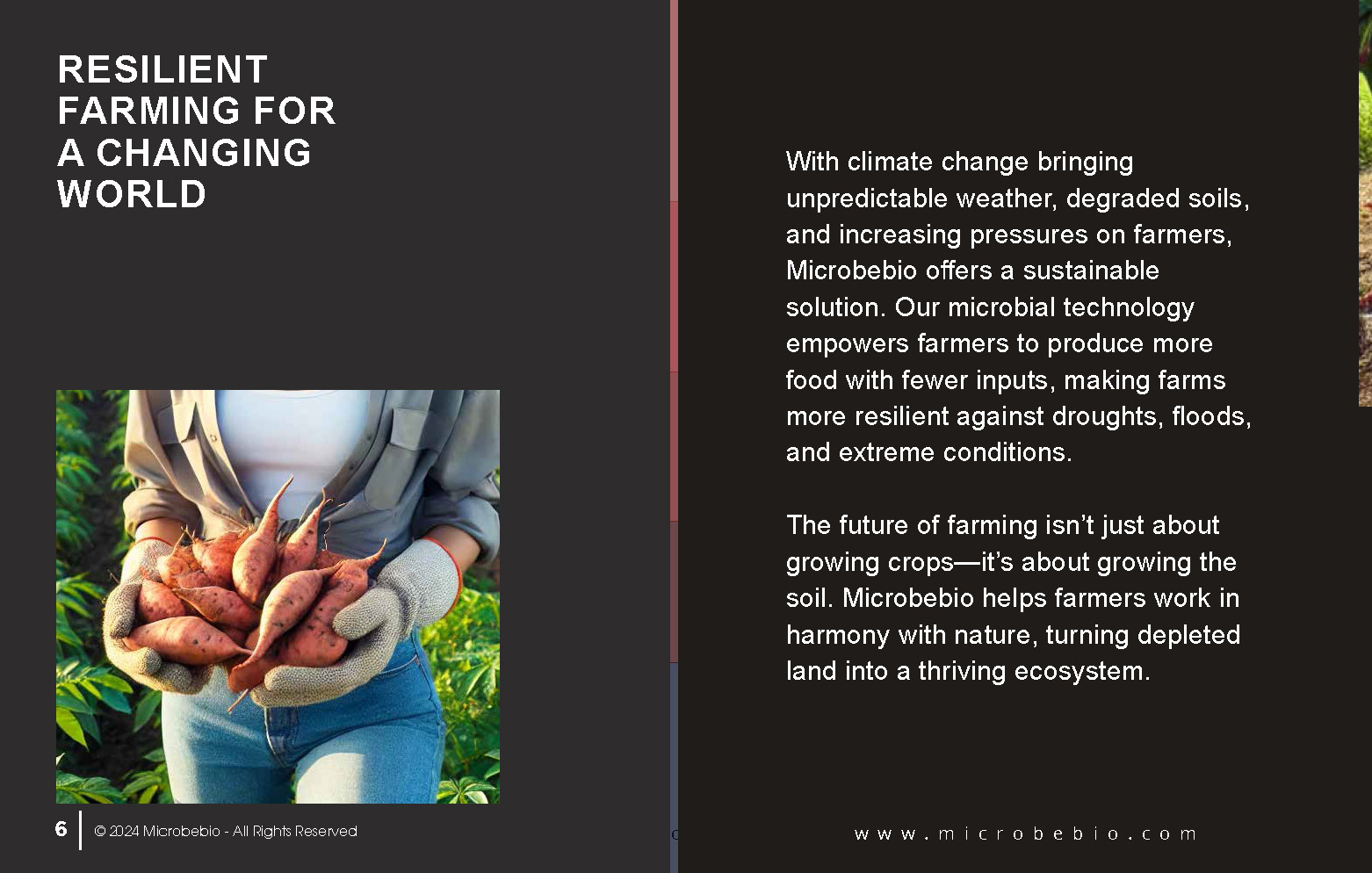 Microbes Will Feed the World How Microbebio Helps Farmers Grow Healthy Soil for Better Crops_Page_6