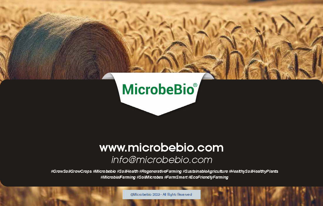 Microbes Will Feed the World How Microbebio Helps Farmers Grow Healthy Soil for Better Crops_Page_8